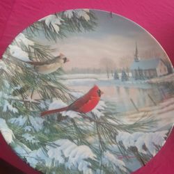 Cardinals In Winte