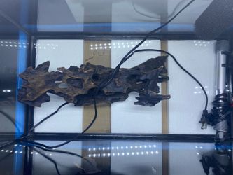 Entire Fish Tank Setup!