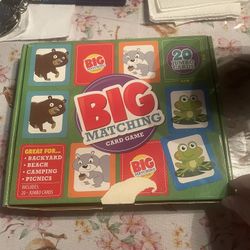 Big Jumbo Matching Cards 