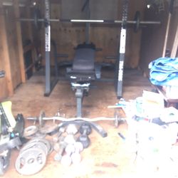Weight Bench/Pully/curl Bar/weights