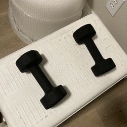 10 Pound Weights 