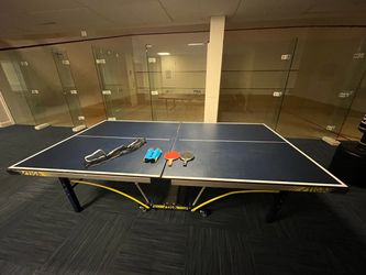 Ping Pong Table