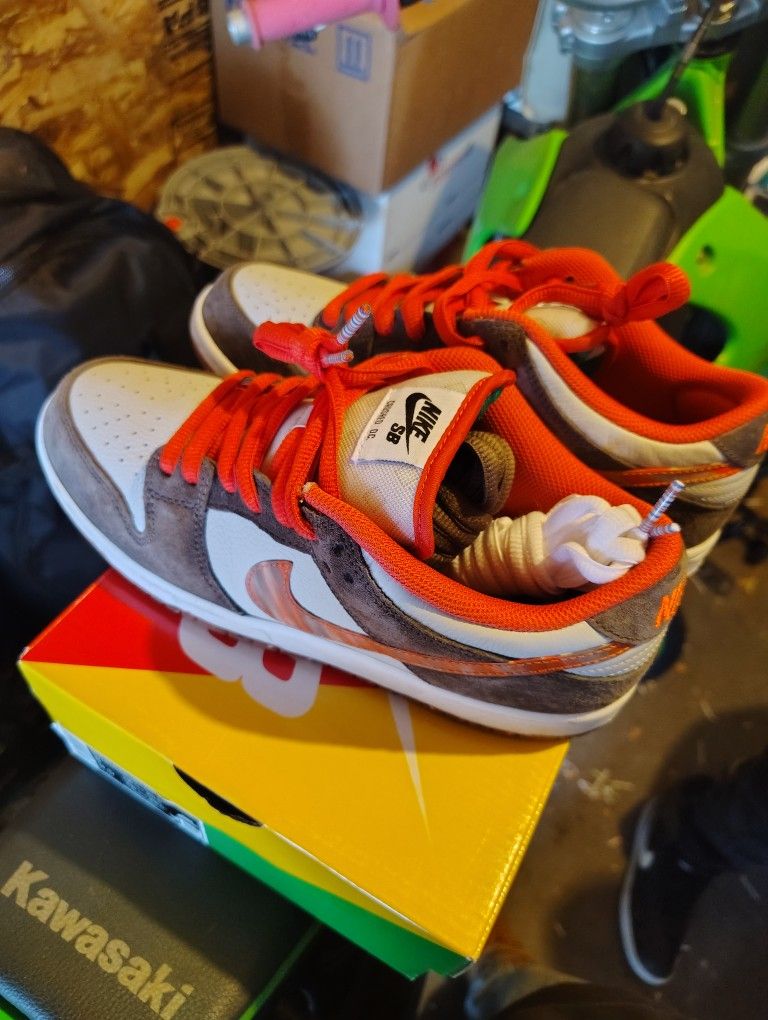 Nike SB Dunk Low Pro QS "Crushed D.C. - Golden Hour." Men's 8