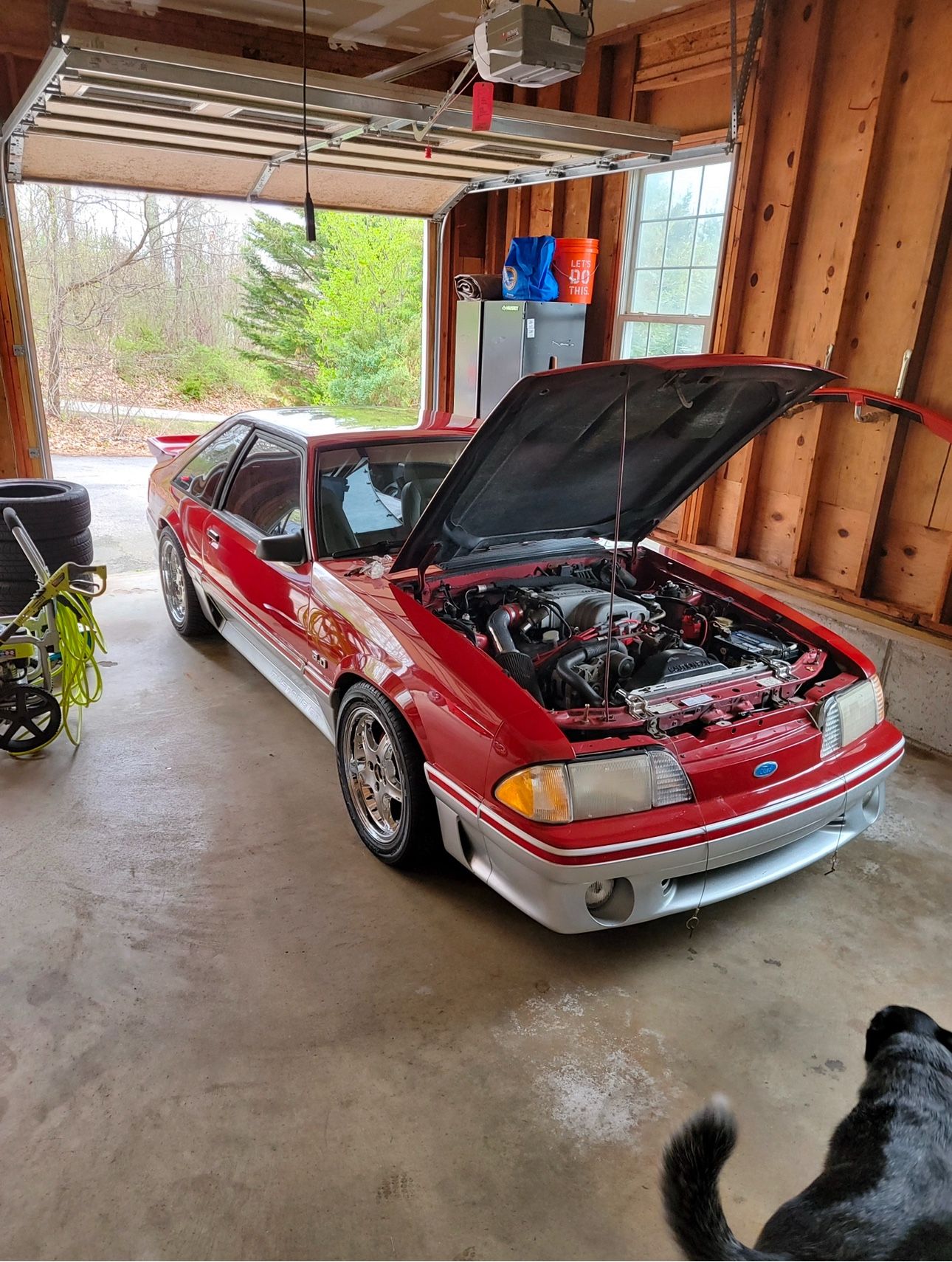 1988 Ford Mustang