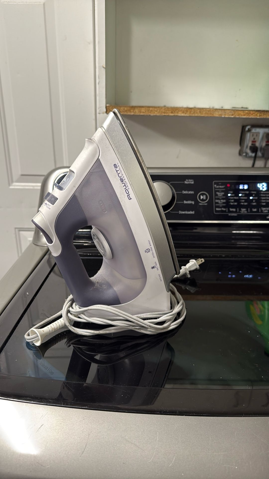 Rowenta INOX Professional Iron 