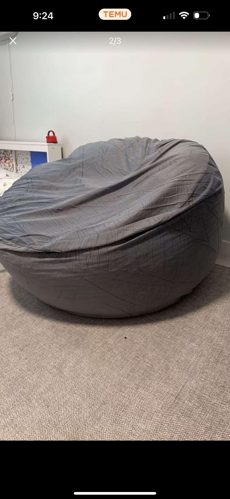 Bean Bag 4 Ft