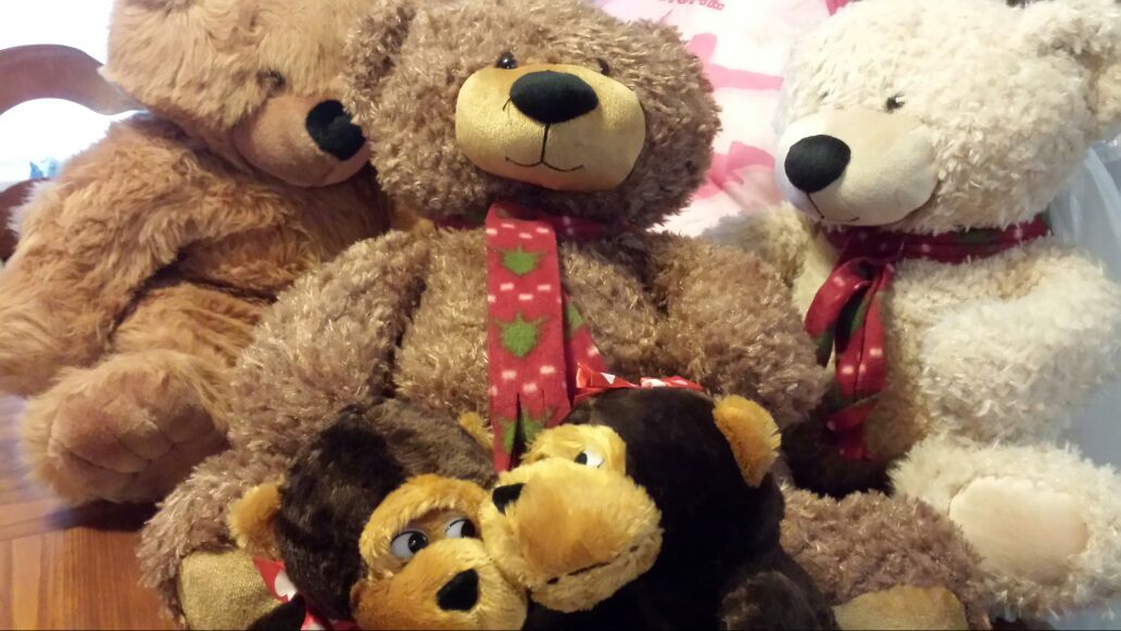 Largr size stuffy teddy bears. Monkeys and high school muscial pillow.