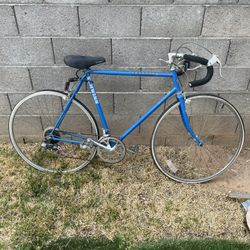Vintage Schwinn Traveler Bike 