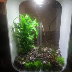 Acuario Abiorb 4 Gallones Con Todo.