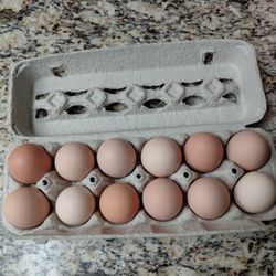 12pk Eggs Home Grown Eggs