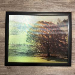 Changing Seasons Holographic Framed Print