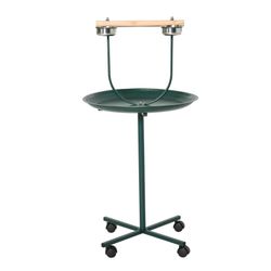Parrot Stand, Bird