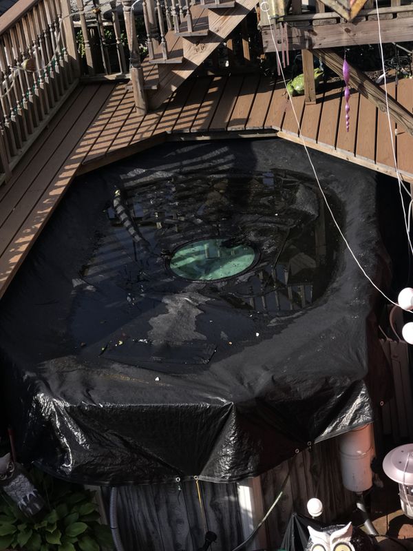 14ft oval pool