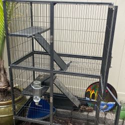 Bird, Small Animal Cage 