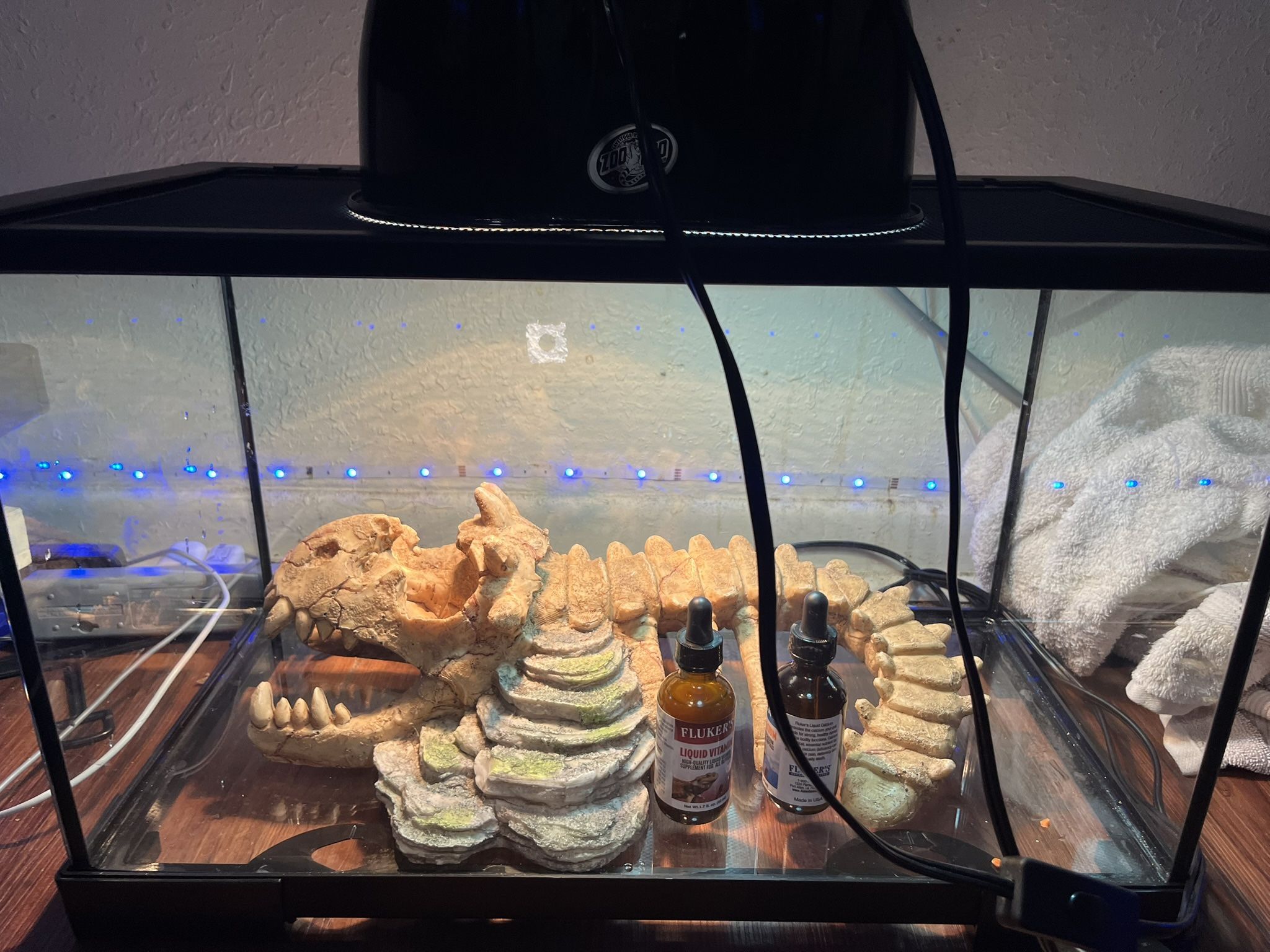 bearded dragon tank 40 gallon