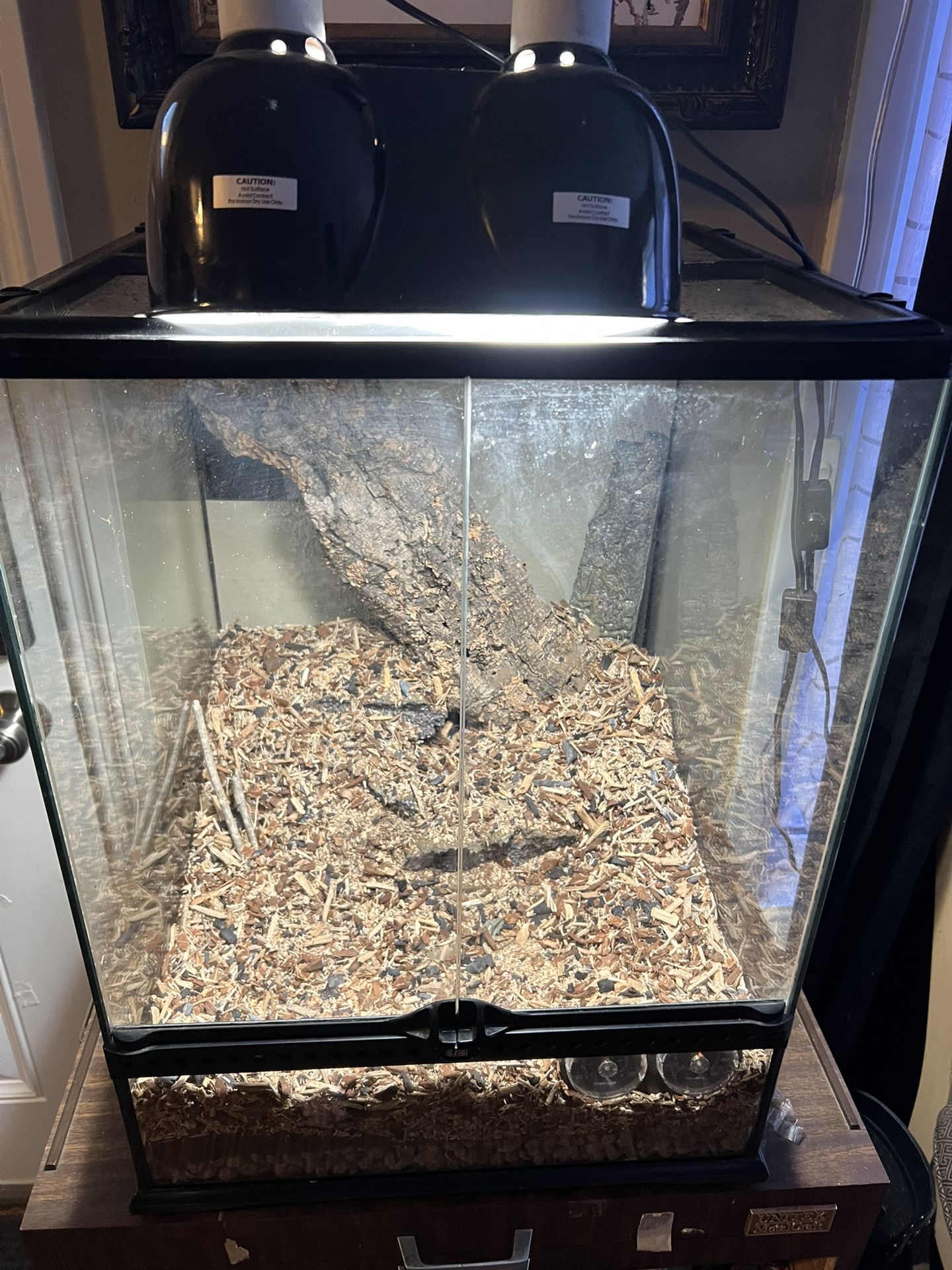 Vivarium Terrarium