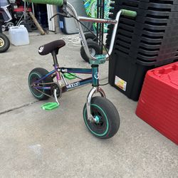 Wildcat Bmx Mini Bike 