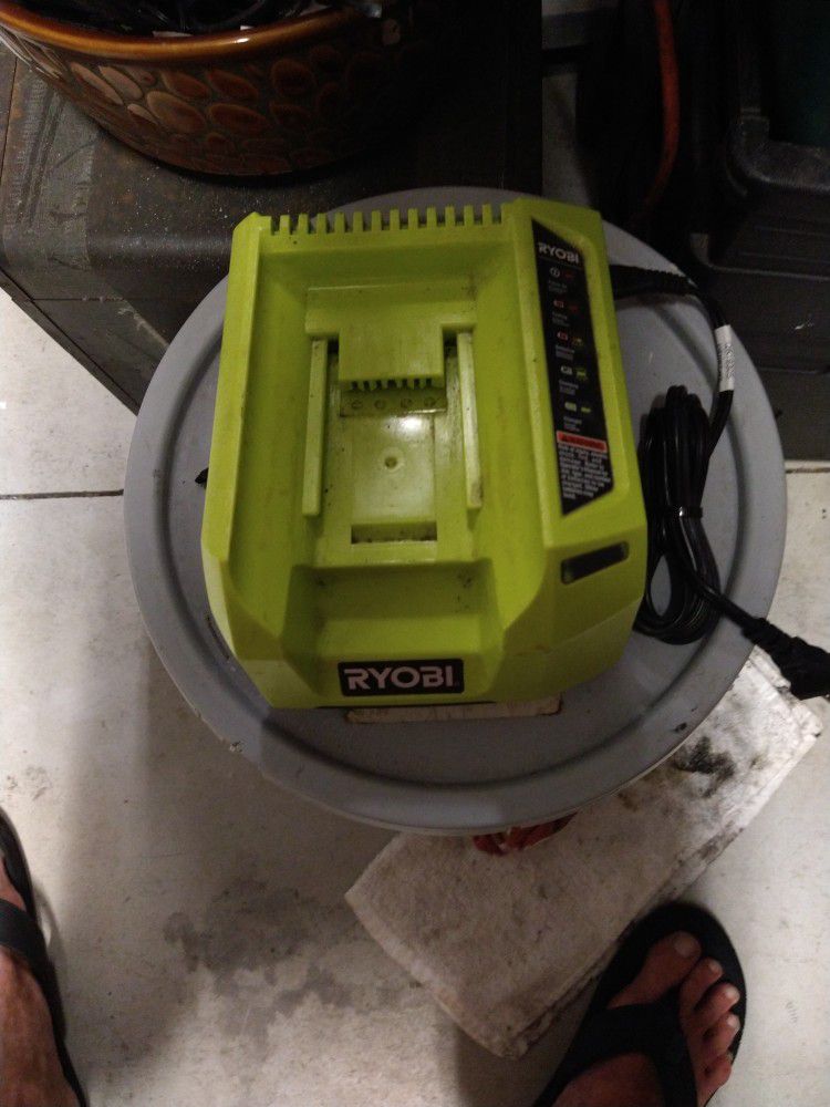 Ryobi 40v Lithium Ion Battery Charger Works Great