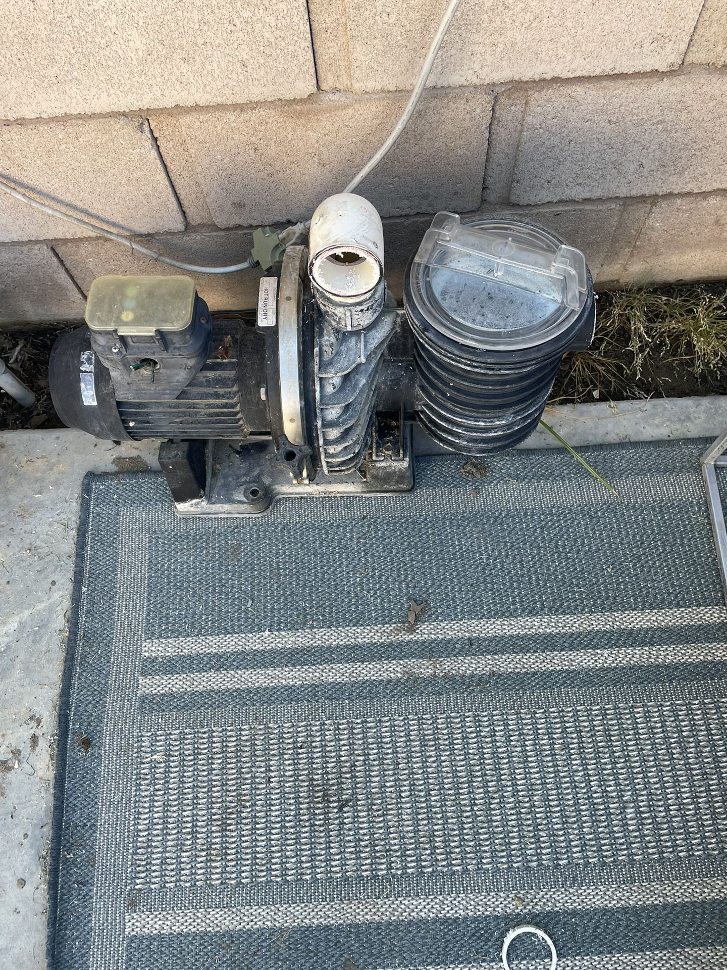 Pool pump motor and pump basket