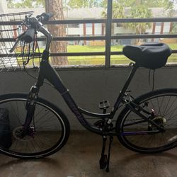 28” Schwinn 