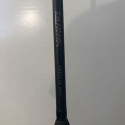 Fishing Rod, DAIWA Proteus 8ft 25-50#