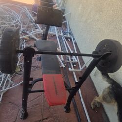 Workout Bench 
