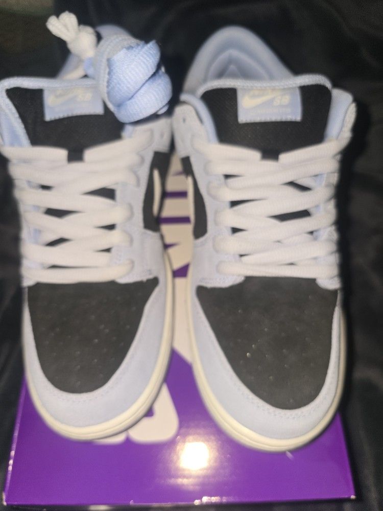 sb dunk aluminum 9
