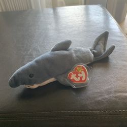 Crunch the shark