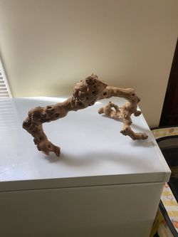 reptile accessories  water bowls climbers hide aways and lights 