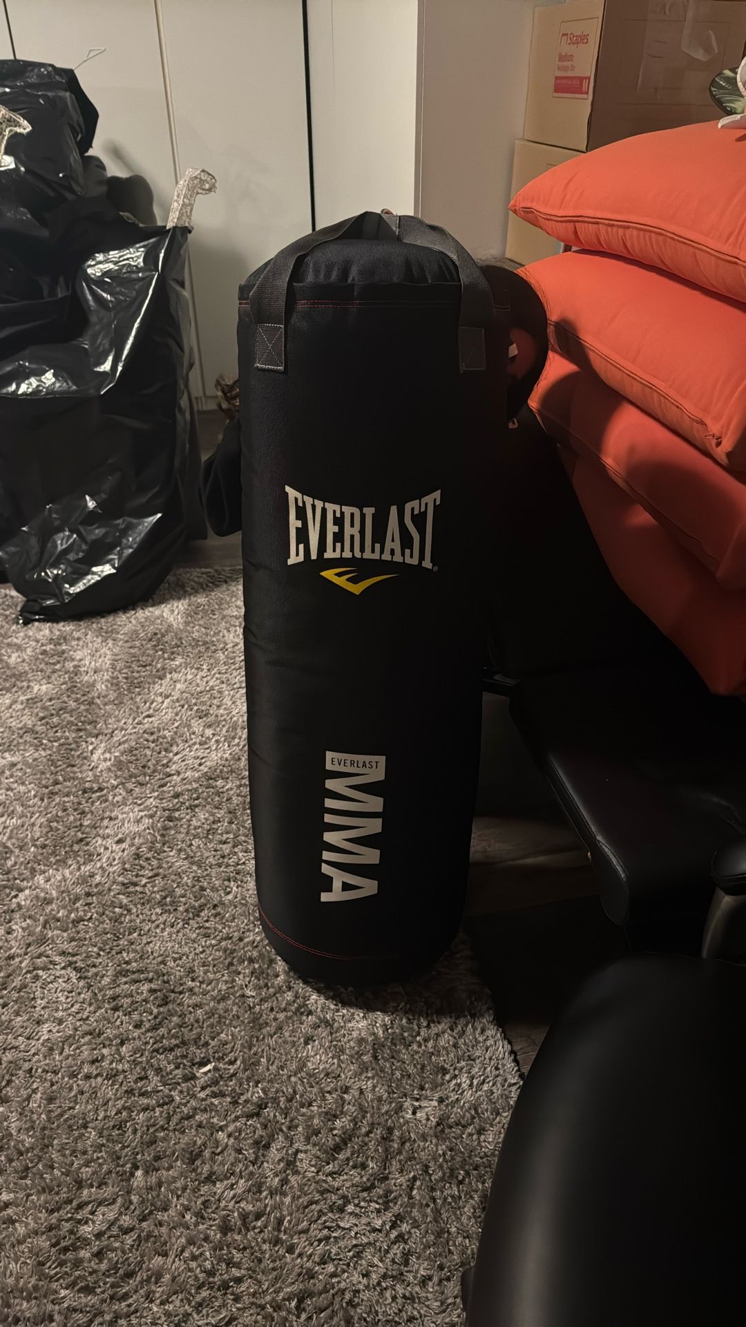 Everlast MMA punching Bag