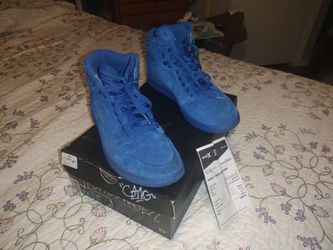Blue swade Nike Air Jordans