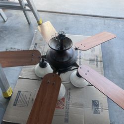 Harbor Freeze Ceiling Fan
