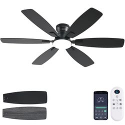Ceiling Fan 