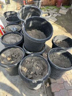 Free Clean Dust