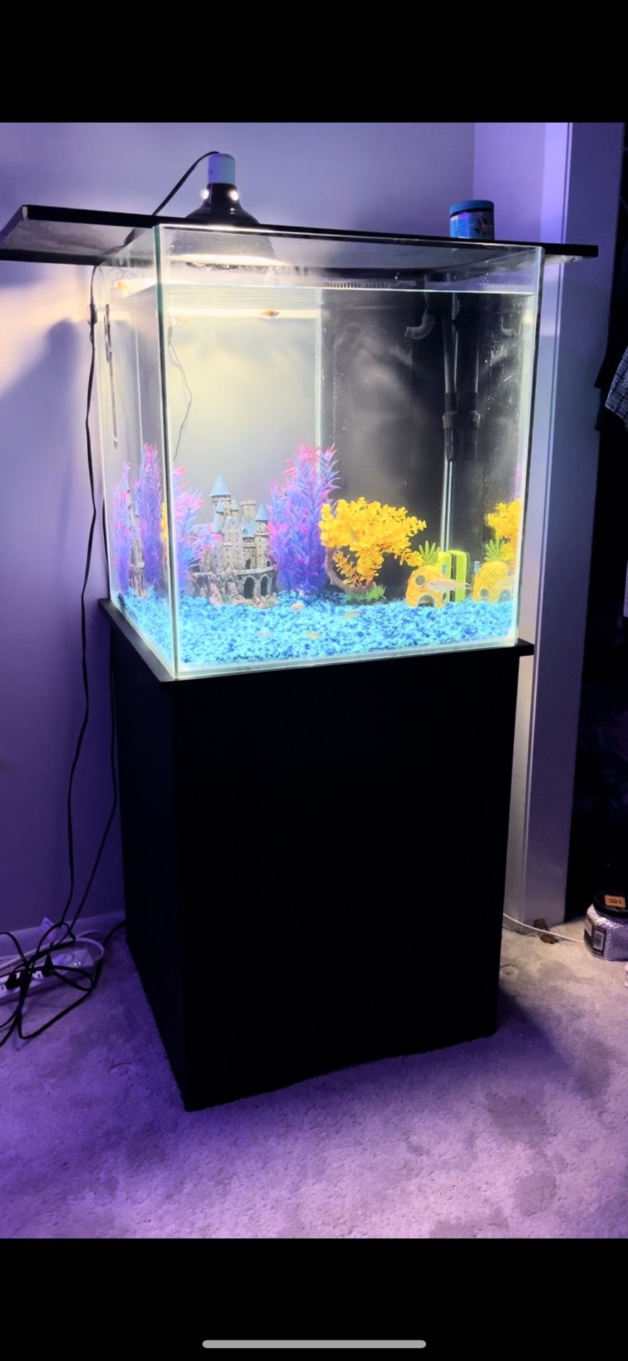 Fish Tank 60 Gallon