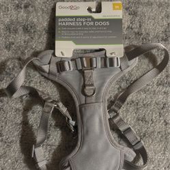 Medium Dog Harness