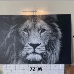 Lion Photograph | Aluminum Sheet | Large Print | Artwork | Photography |