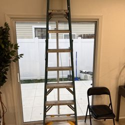 Werner Ladder 8 Feet. Works Great !
