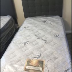 New Twin Size Bed With Mattress And Box Spring Included 