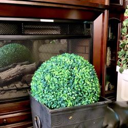 Large Planter With Green Ball Topiary  Decor