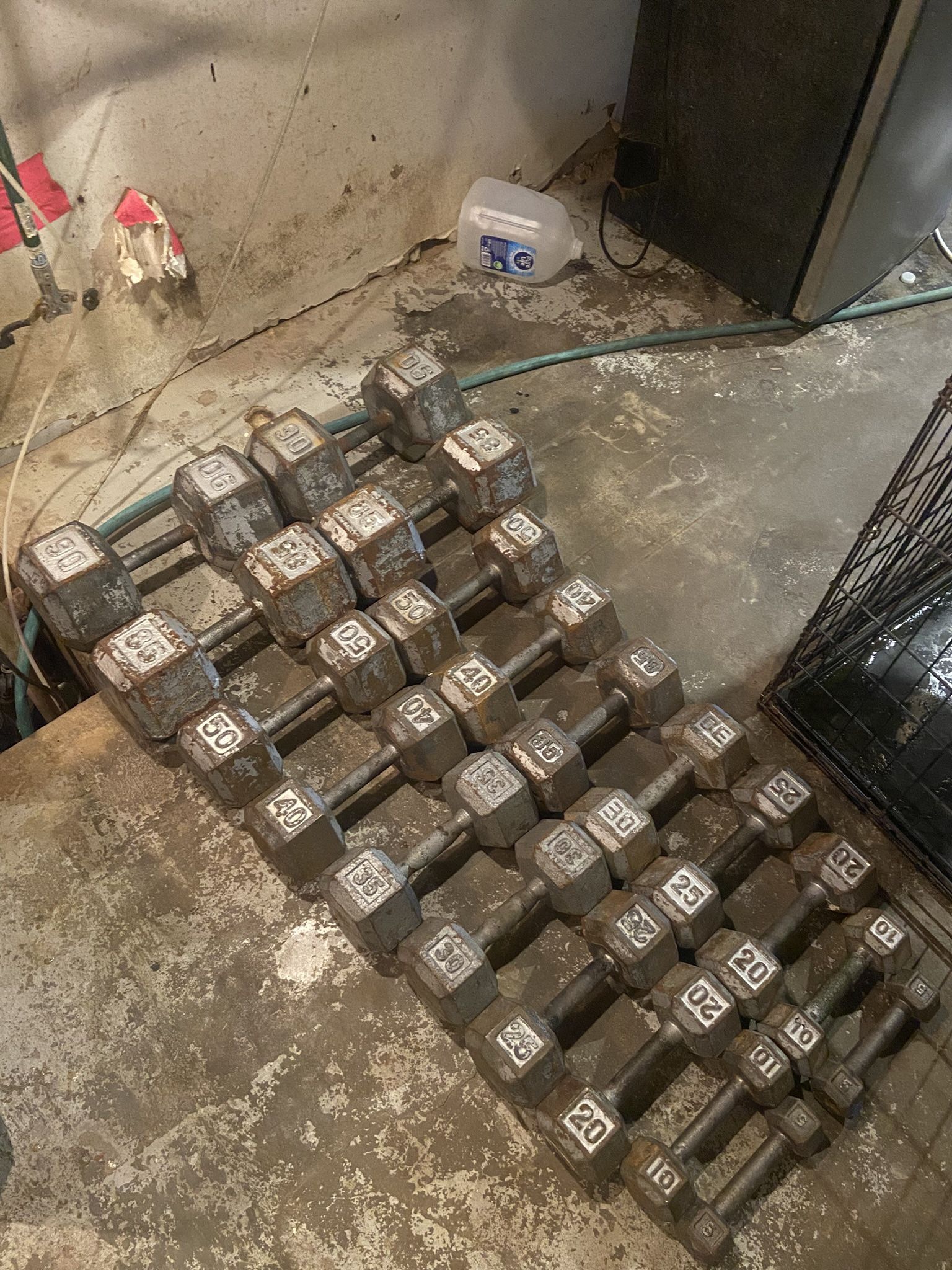 Dumbbells 1 Dollar A Pound 