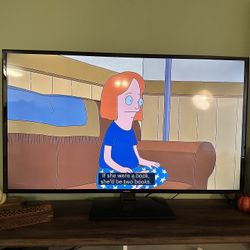 Samsung 48” TV with Fire TV Stick