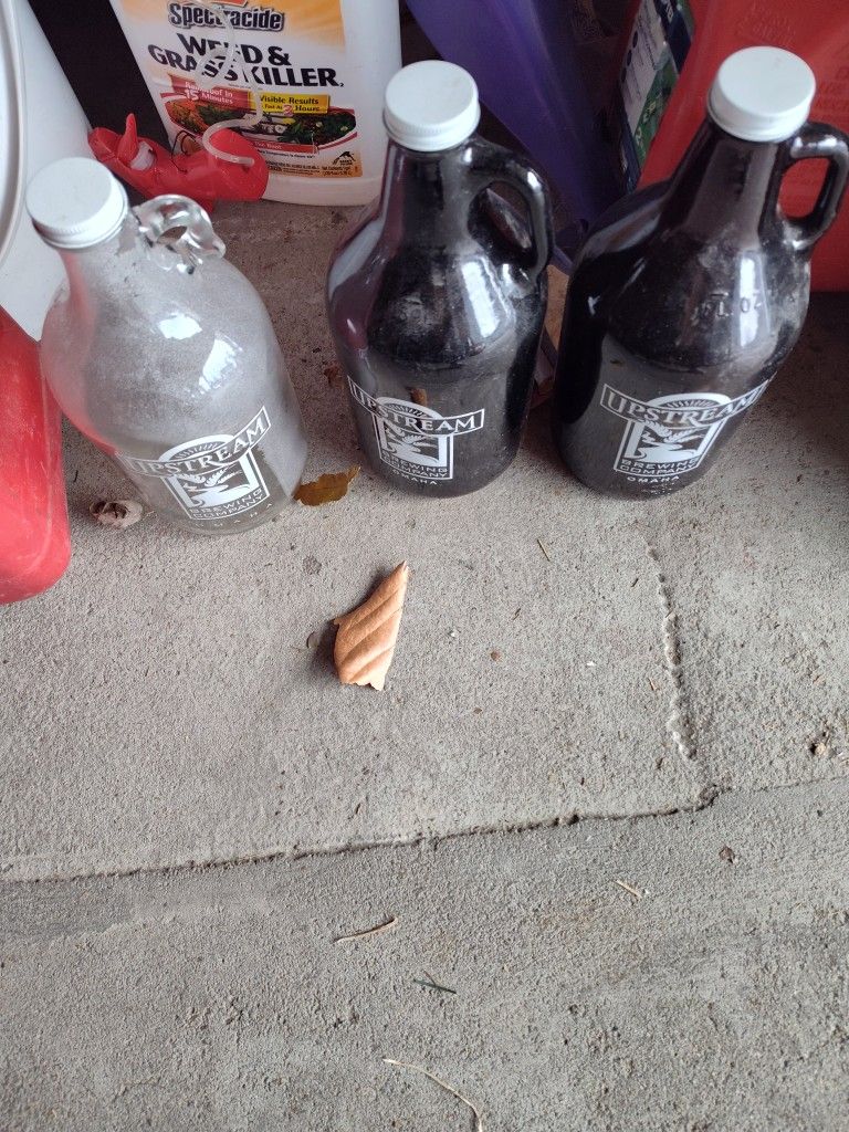 3 Growlers!