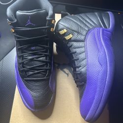 Jordan 12 Field Purple Size 11 Used