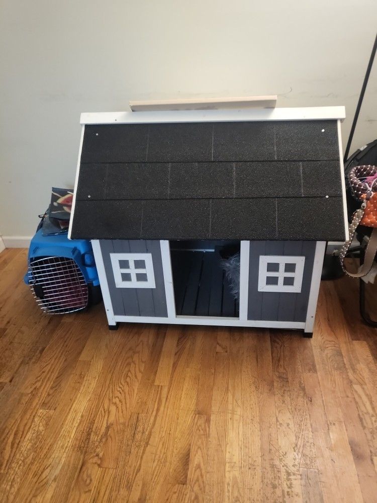 Dog House