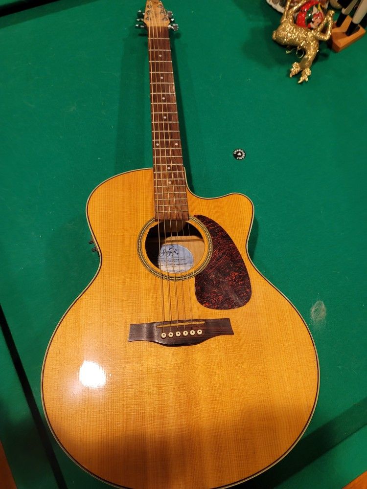 Acoustic Guitar Seagull 