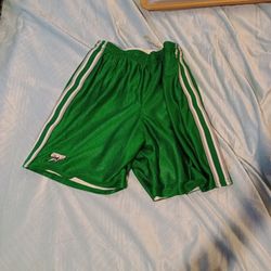 🩷 Reversable Green - White Silk Shorts. Still Available