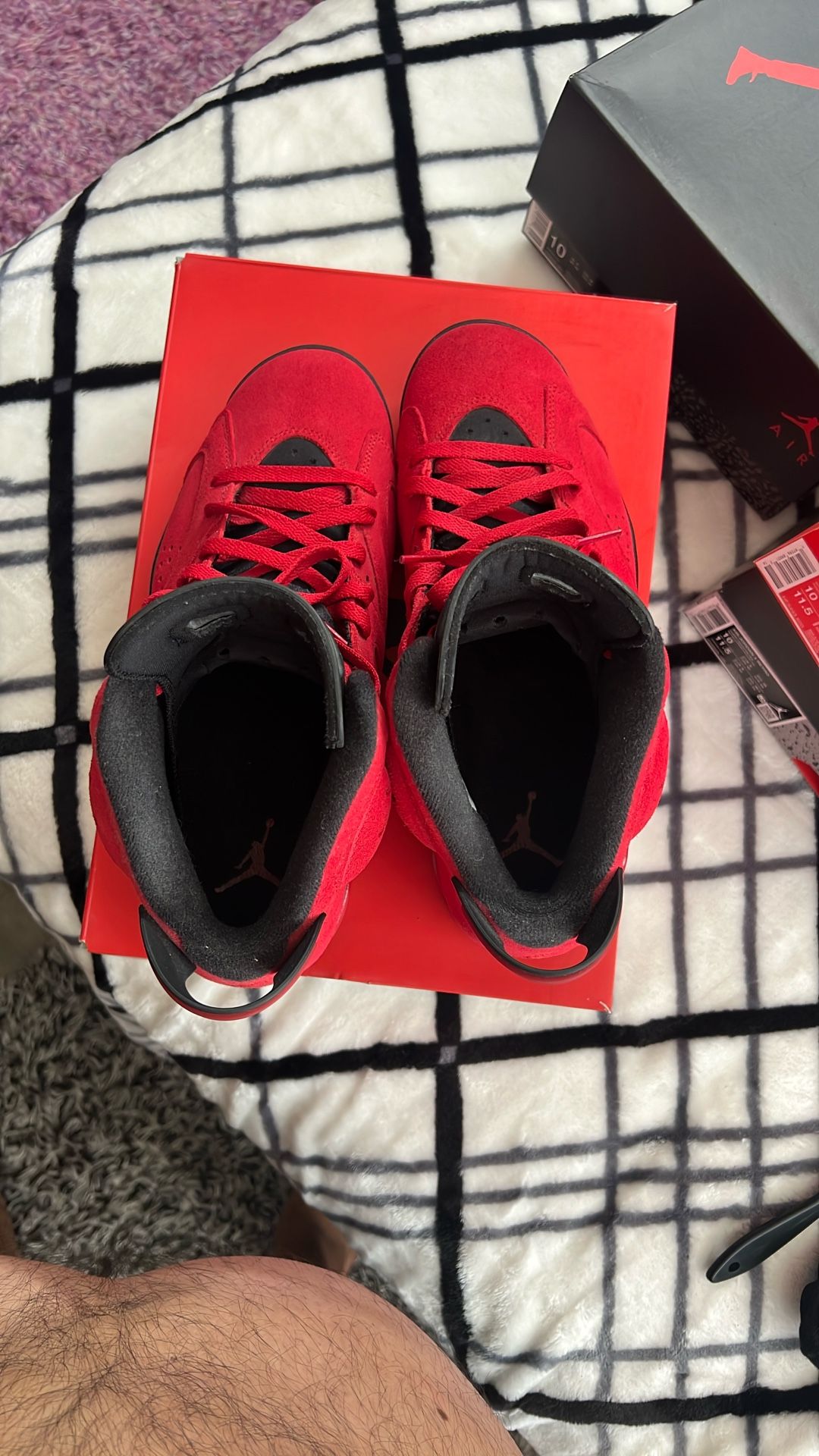 Jordan 6 Suede Toro bravo