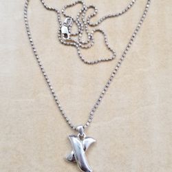 Sterling Silver Pendant On A 17 Inch Chain 