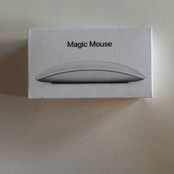 Rechargeable Apple Magic Mouse USB-C